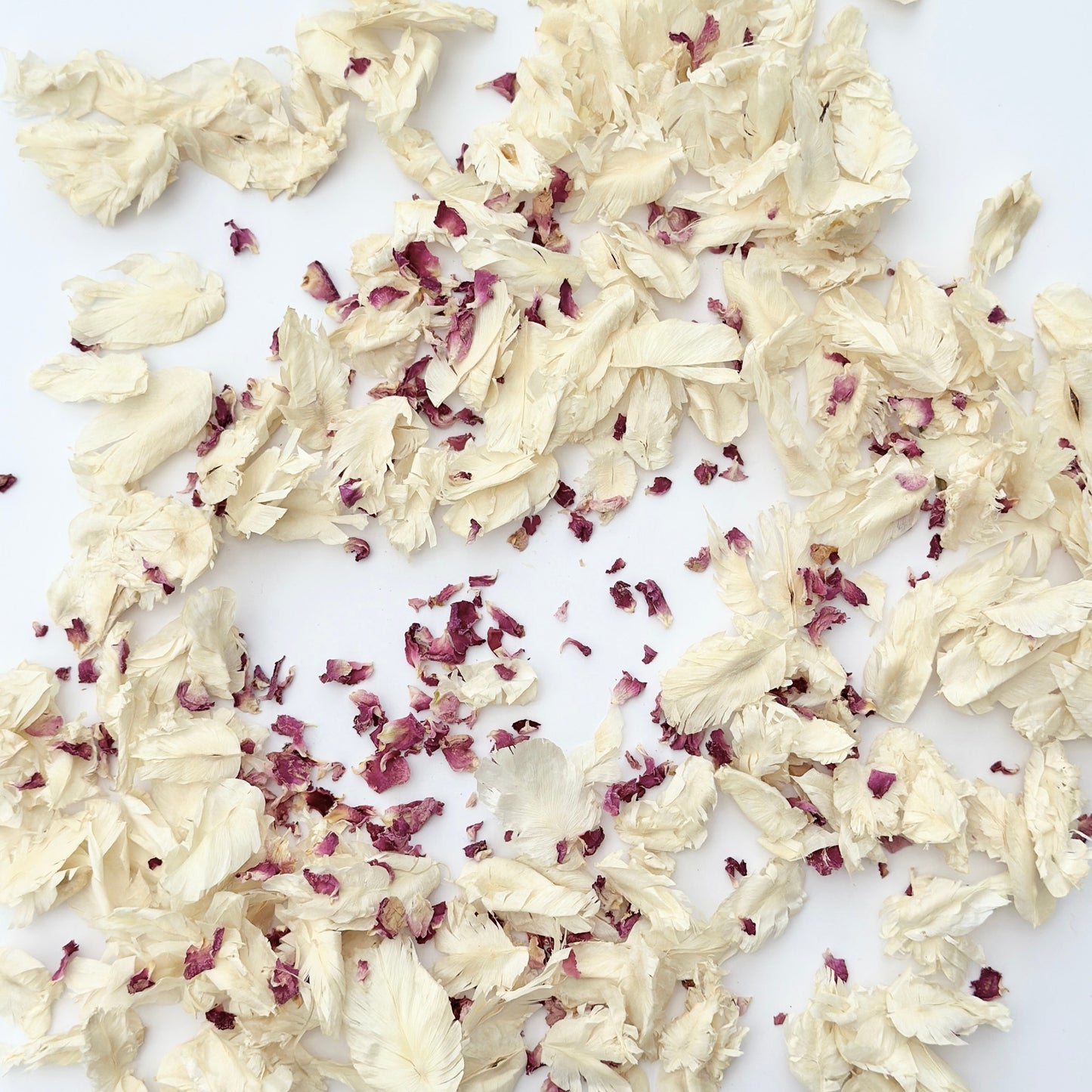 Ivory & Pink Rose Petals